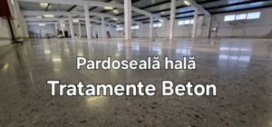 Slefuire, tratamente pardoseala hala, depozit