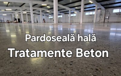 Slefuire si tratare pardoseala beton hala/ depozit.