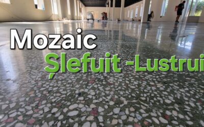 SLEFUIRE / RECONDITIONARE MOZAIC VECHI
