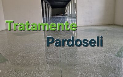 Curățare, spalare si lustruire pardoseli