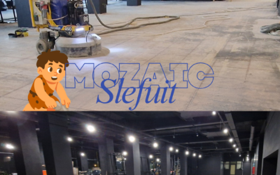 SLEFUIRE MOZAIC, PROFESIONAL SI RAPID